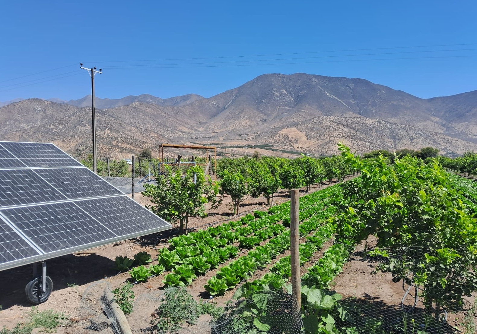 paneles fotovoltaicos