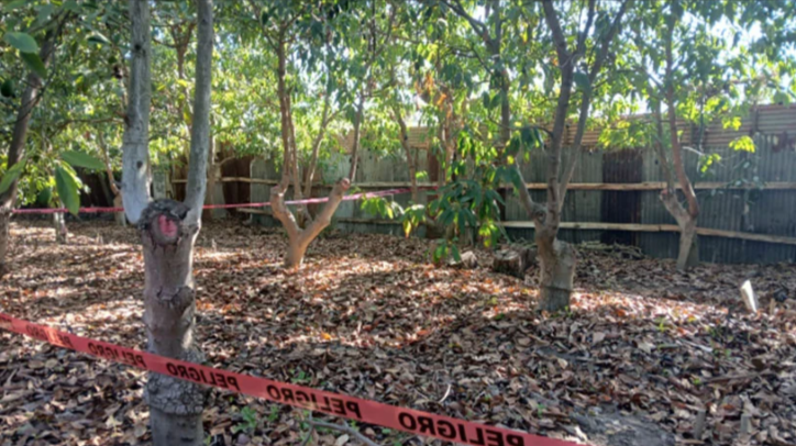 Un hombre murió baleado en un predio agrícola de Quillota tras un presunto robo de paltas. El cuidador del terreno quedó detenido mientras se investiga el caso.