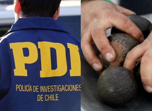 Un hombre murió baleado en un predio agrícola de Quillota tras un presunto robo de paltas. El cuidador del terreno quedó detenido mientras se investiga el caso.