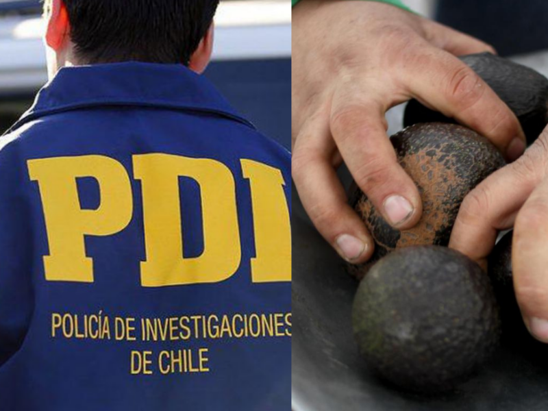 Un hombre murió baleado en un predio agrícola de Quillota tras un presunto robo de paltas. El cuidador del terreno quedó detenido mientras se investiga el caso.