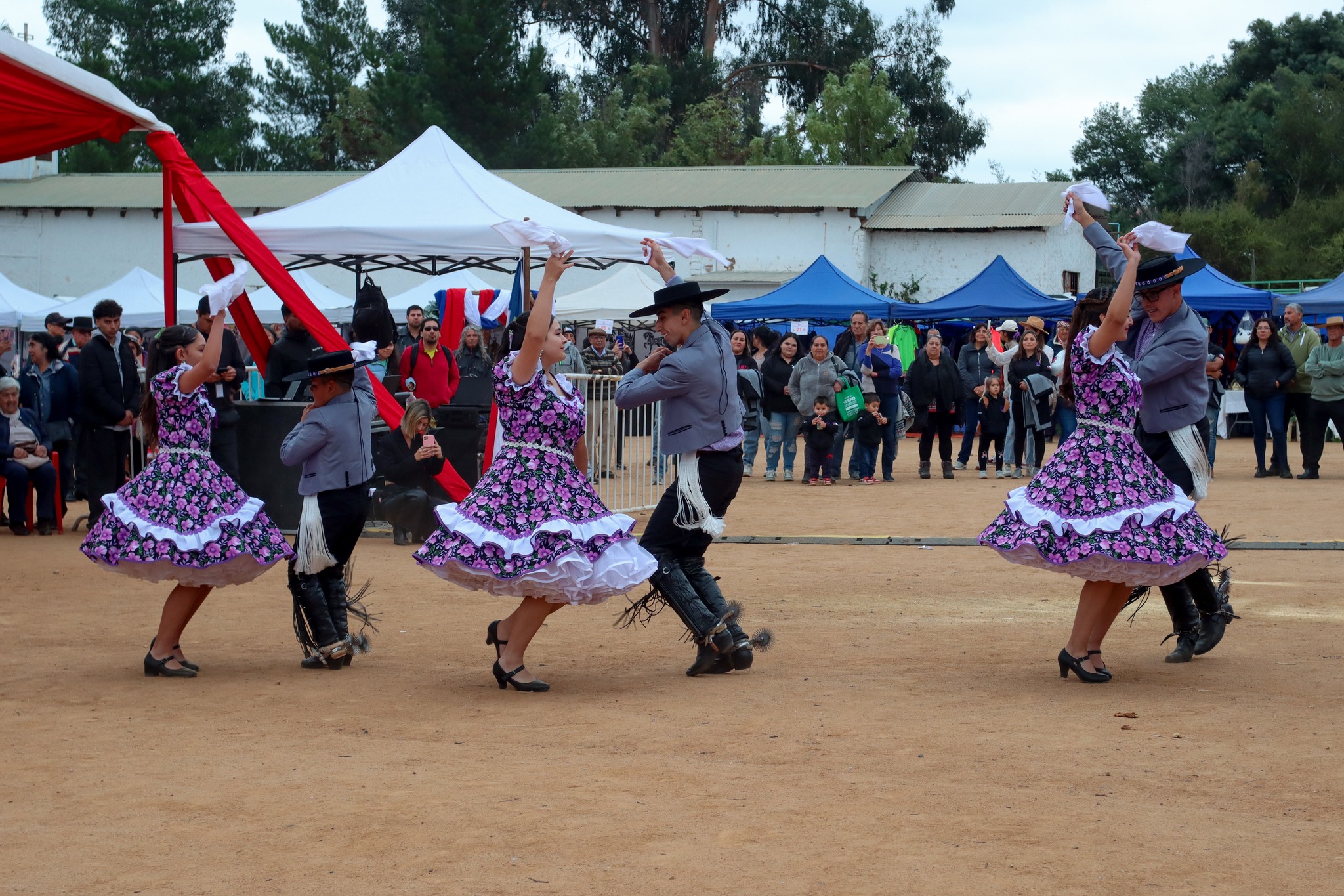 Villa Alemana celebrará la Fiesta de la Vendimia en Quebrada Escobares con música en vivo, gastronomía, emprendedores y entrada gratuita para toda la familia.