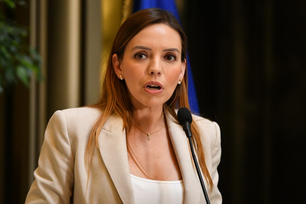 Incautan computadores en oficina de Camila Flores en el Congreso por investigación de presunto fraude al fisco. Caso sigue en desarrollo.