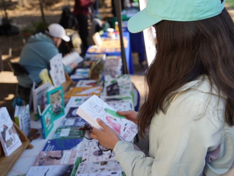 Villa Alemana preparó una cartelera gratuita para estas vacaciones de invierno con cine familiar, juegos mapuche y un concierto de la Orquesta Andina PUCV. Revisa las actividades y horarios.