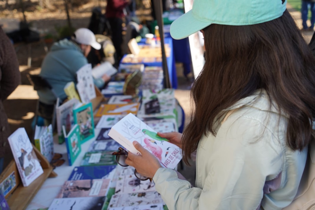 Villa Alemana preparó una cartelera gratuita para estas vacaciones de invierno con cine familiar, juegos mapuche y un concierto de la Orquesta Andina PUCV. Revisa las actividades y horarios.
