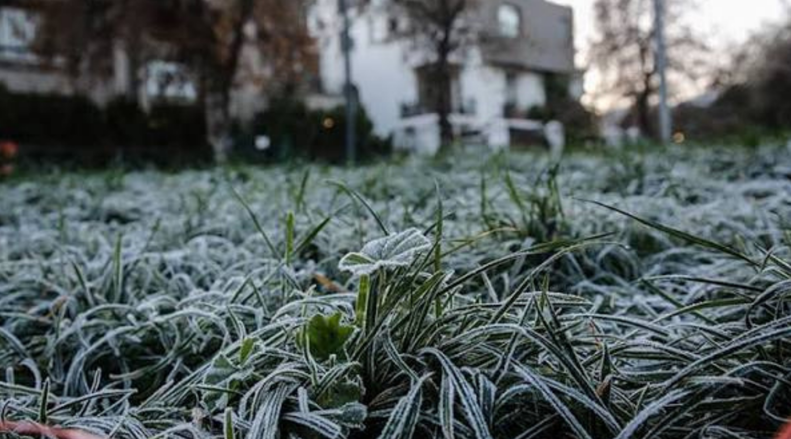 La Dirección Meteorológica emitió un aviso por heladas en la Región de Valparaíso. Las temperaturas podrían descender hasta los -4°C en sectores interiores y precordilleranos durante el inicio de la semana.