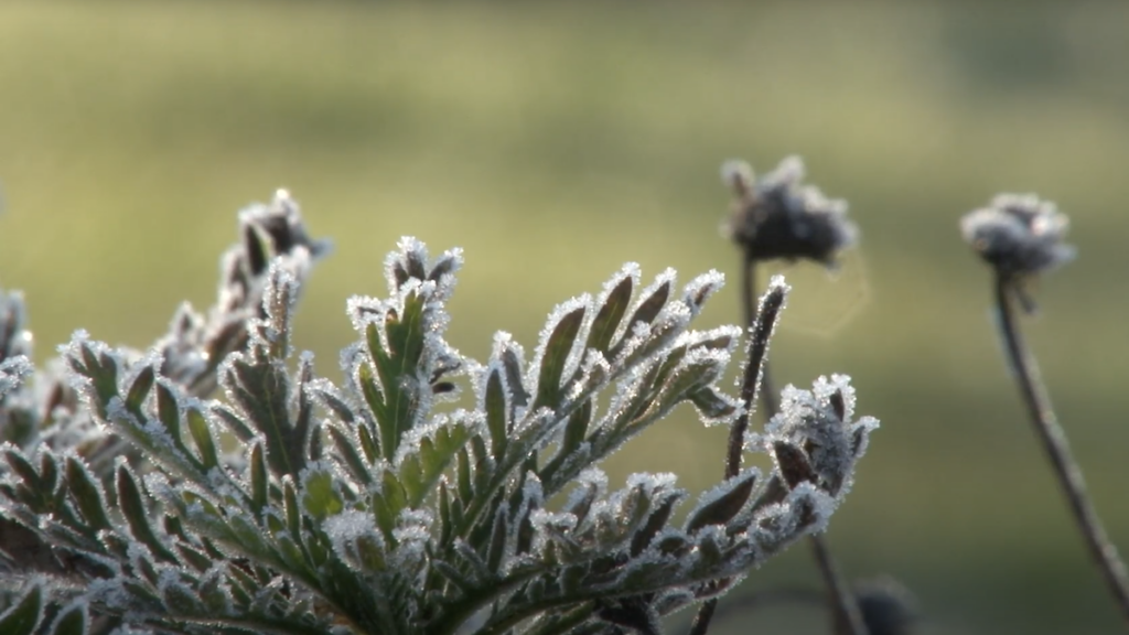 La Dirección Meteorológica de Chile pronosticó heladas de hasta -4 °C y probabilidad de escarcha en la Región de Valparaíso entre el 2 y el 3 de julio. Revisa las zonas y temperaturas previstas.