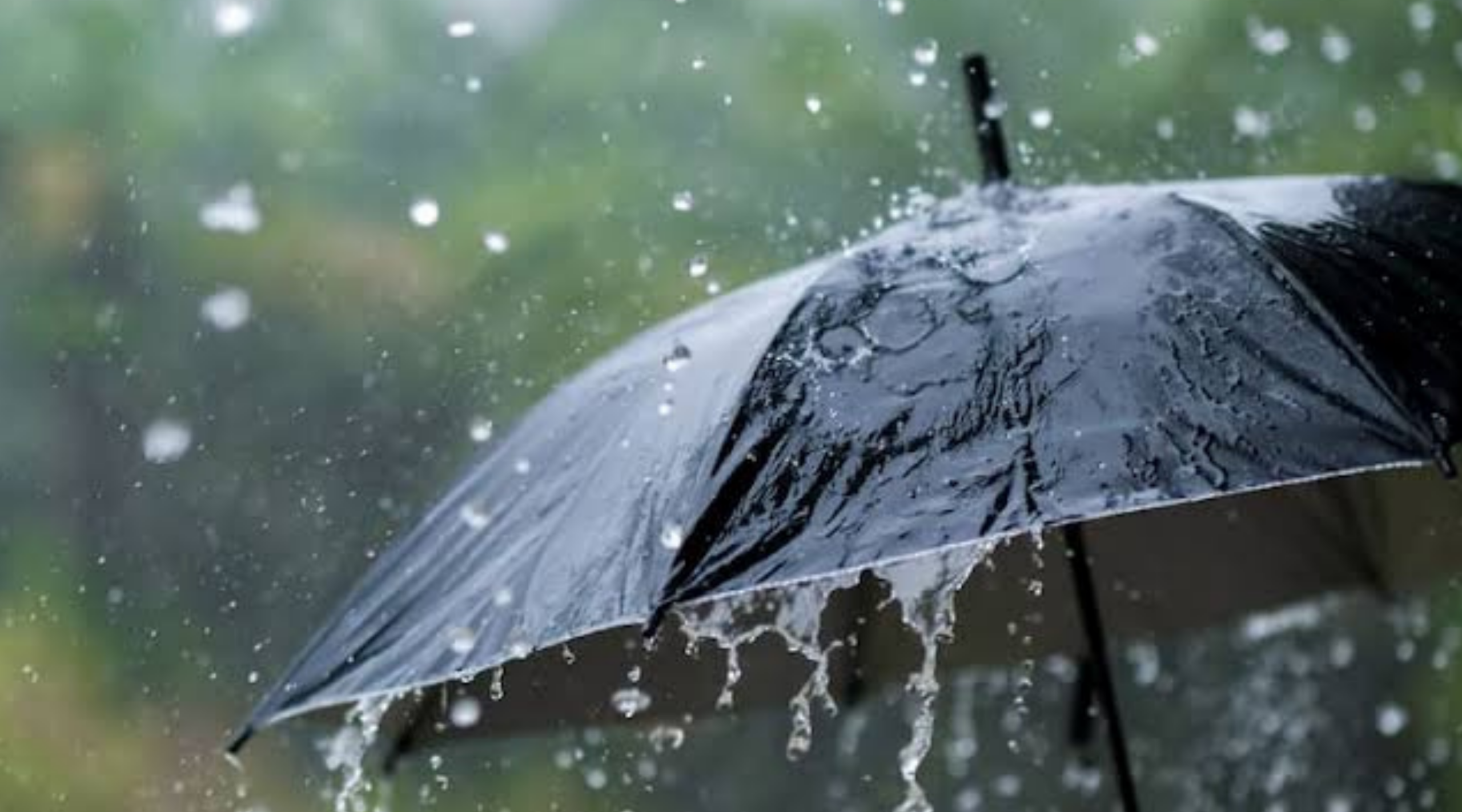 La Región de Valparaíso enfrenta una Alerta Temprana Preventiva por un sistema frontal que traerá varios días de lluvia, fuertes vientos, nevadas y riesgo de temporal, según Senapred y especialistas.
