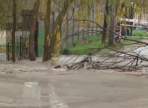 El desborde de un canal provocó la inundación de dos viviendas en Quilpué durante el sistema frontal. Una adulta mayor y varias familias debieron abandonar sus hogares mientras continúan las lluvias.