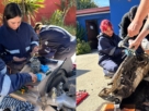 Puerto Ventanas S.A. impulsó una capacitación en mecánica automotriz en Puchuncaví, donde el 75% de los 15 participantes fueron mujeres.