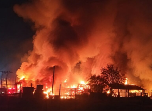 Un incendio en La Cruz consumió un vivero y una vivienda en Pocochay. Bomberos de 13 ciudades combatieron la emergencia y se confirmó presencia de químicos.