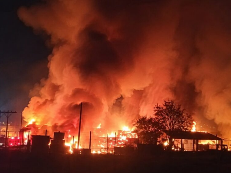 Un incendio en La Cruz consumió un vivero y una vivienda en Pocochay. Bomberos de 13 ciudades combatieron la emergencia y se confirmó presencia de químicos.