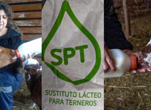 COLUN donó 200 sacos de sustituto lácteo, equivalentes a cinco toneladas, para beneficiar a crianceros de 20 localidades de Petorca.