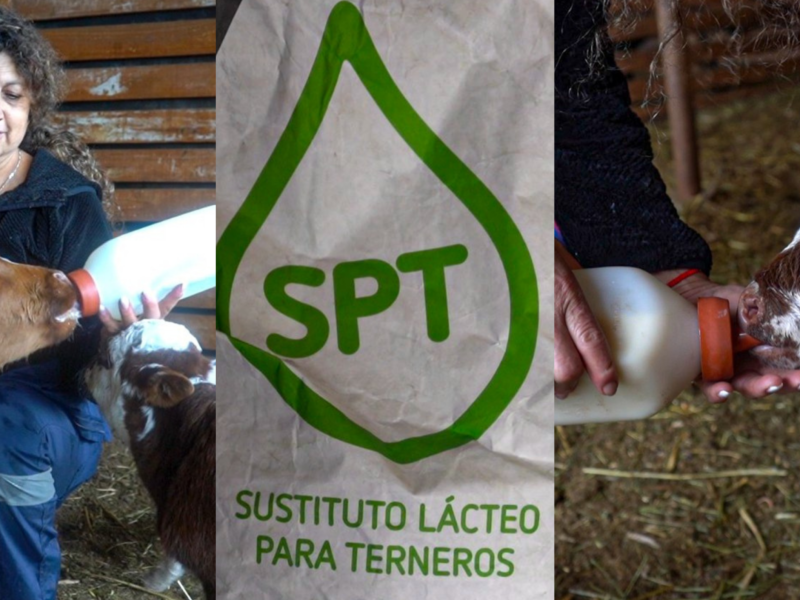 COLUN donó 200 sacos de sustituto lácteo, equivalentes a cinco toneladas, para beneficiar a crianceros de 20 localidades de Petorca.