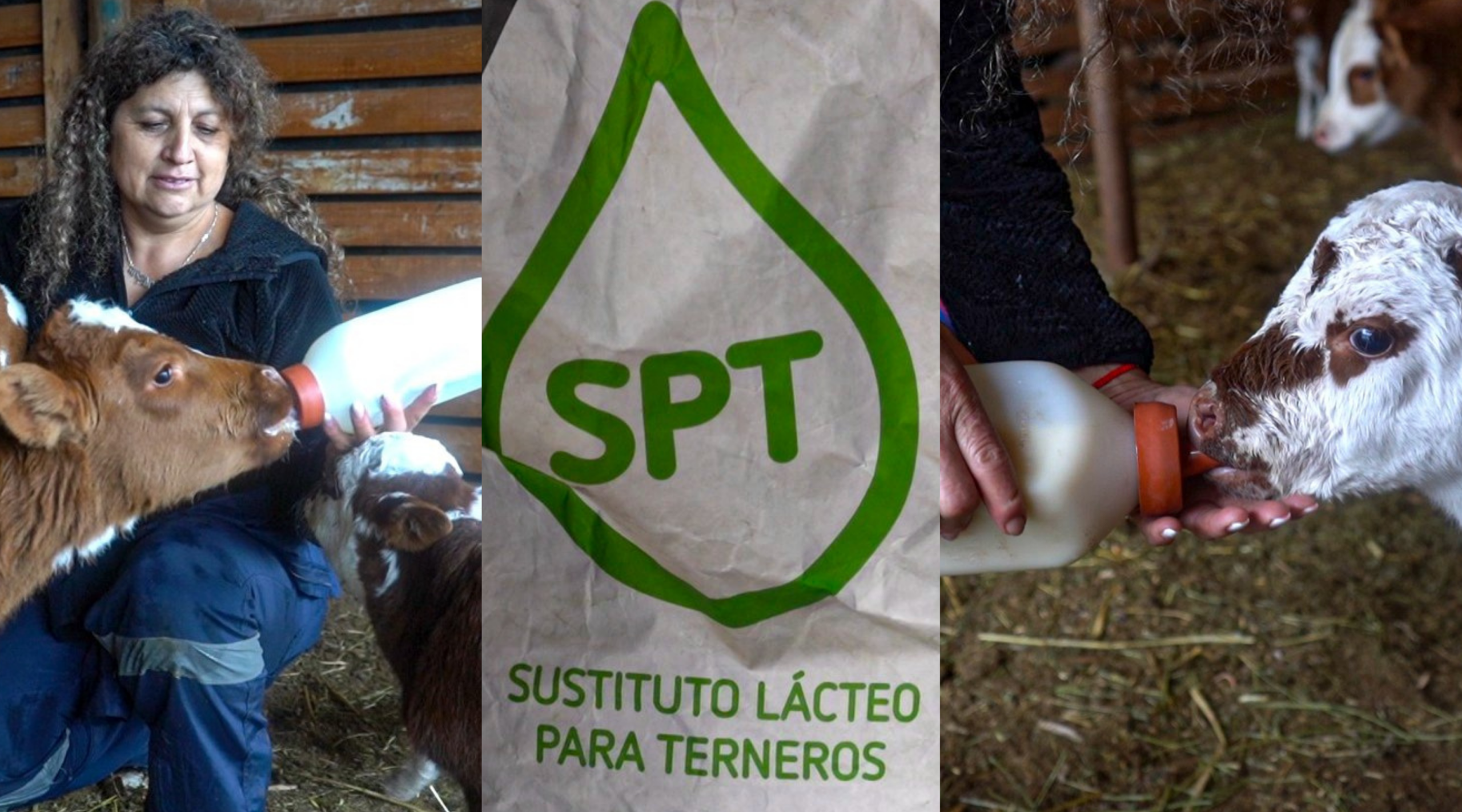 COLUN donó 200 sacos de sustituto lácteo, equivalentes a cinco toneladas, para beneficiar a crianceros de 20 localidades de Petorca.