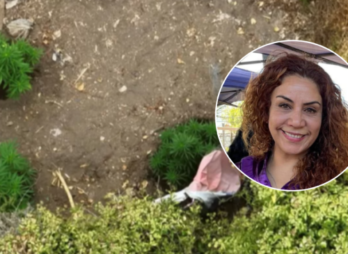 La Fiscalía de La Calera abrió dos investigaciones por el hallazgo de una plantación de marihuana en La Cruz. Una de ellas busca establecer una eventual omisión de denuncia por parte de la alcaldesa Filomena Navia.