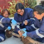 Puerto Ventanas S.A. impulsó una capacitación en mecánica automotriz en Puchuncaví, donde el 75% de los 15 participantes fueron mujeres.