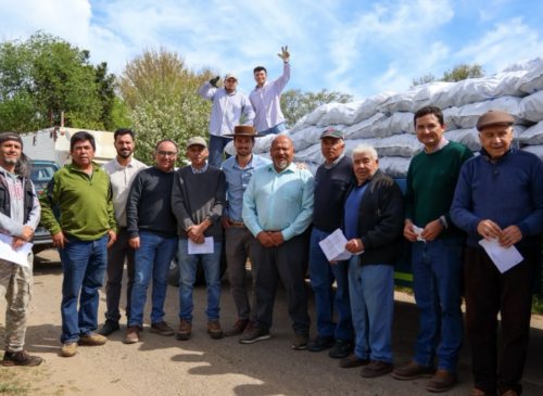 20 productores ganaderos de Quintero recibieron más de 7 mil kilos de forraje tras el último sistema frontal, mediante un convenio del GORE y Agricultura.