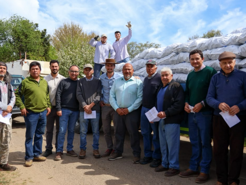 20 productores ganaderos de Quintero recibieron más de 7 mil kilos de forraje tras el último sistema frontal, mediante un convenio del GORE y Agricultura.