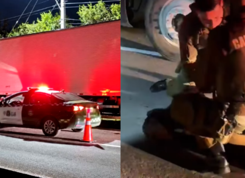 Carabineros recuperó un cargamento de carne avaluado en $200 millones tras un robo en Los Andes. Dos hombres fueron detenidos en Colina.