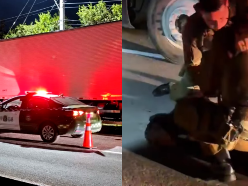 Carabineros recuperó un cargamento de carne avaluado en $200 millones tras un robo en Los Andes. Dos hombres fueron detenidos en Colina.