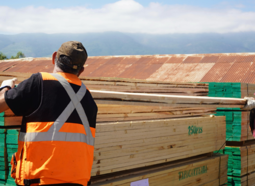 La Municipalidad de La Ligua entregó 10 mil tablas de madera para reconstruir los invernaderos de 90 floricultores de Longotoma afectados por los temporales.