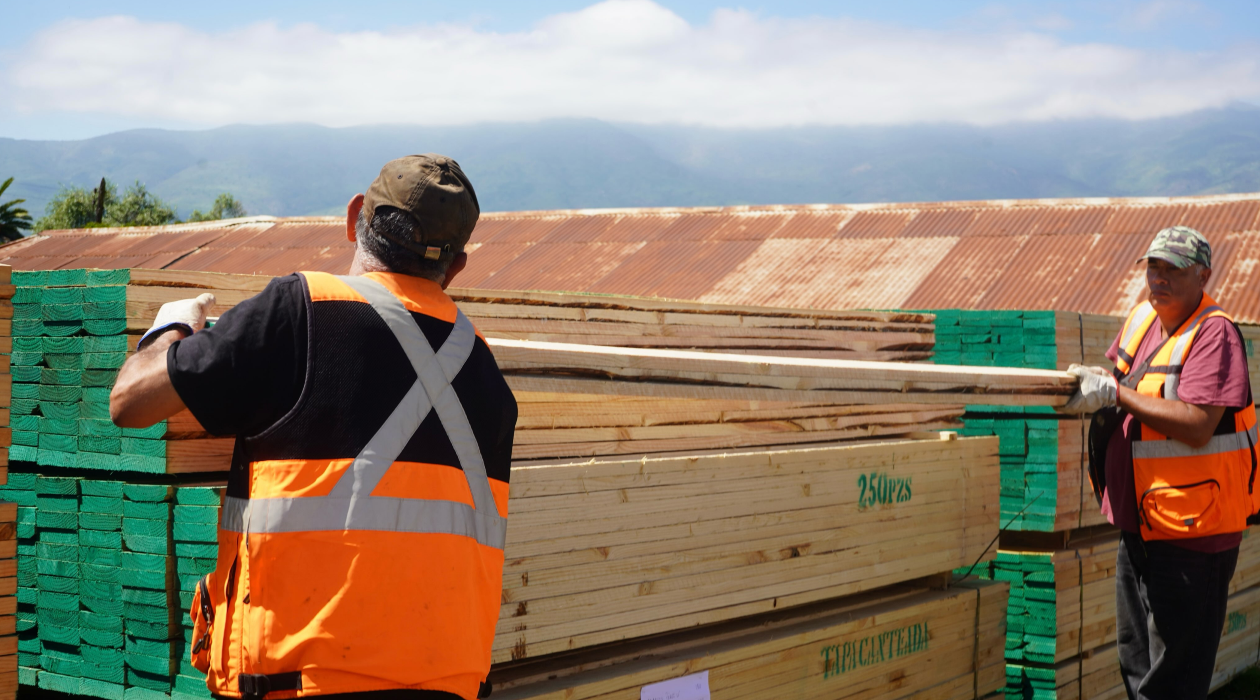 La Municipalidad de La Ligua entregó 10 mil tablas de madera para reconstruir los invernaderos de 90 floricultores de Longotoma afectados por los temporales.