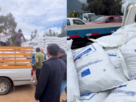 Un total de 52 productores ganaderos de Cabildo recibieron 724 sacos de suplemento alimentario tras la emergencia agrícola de julio.